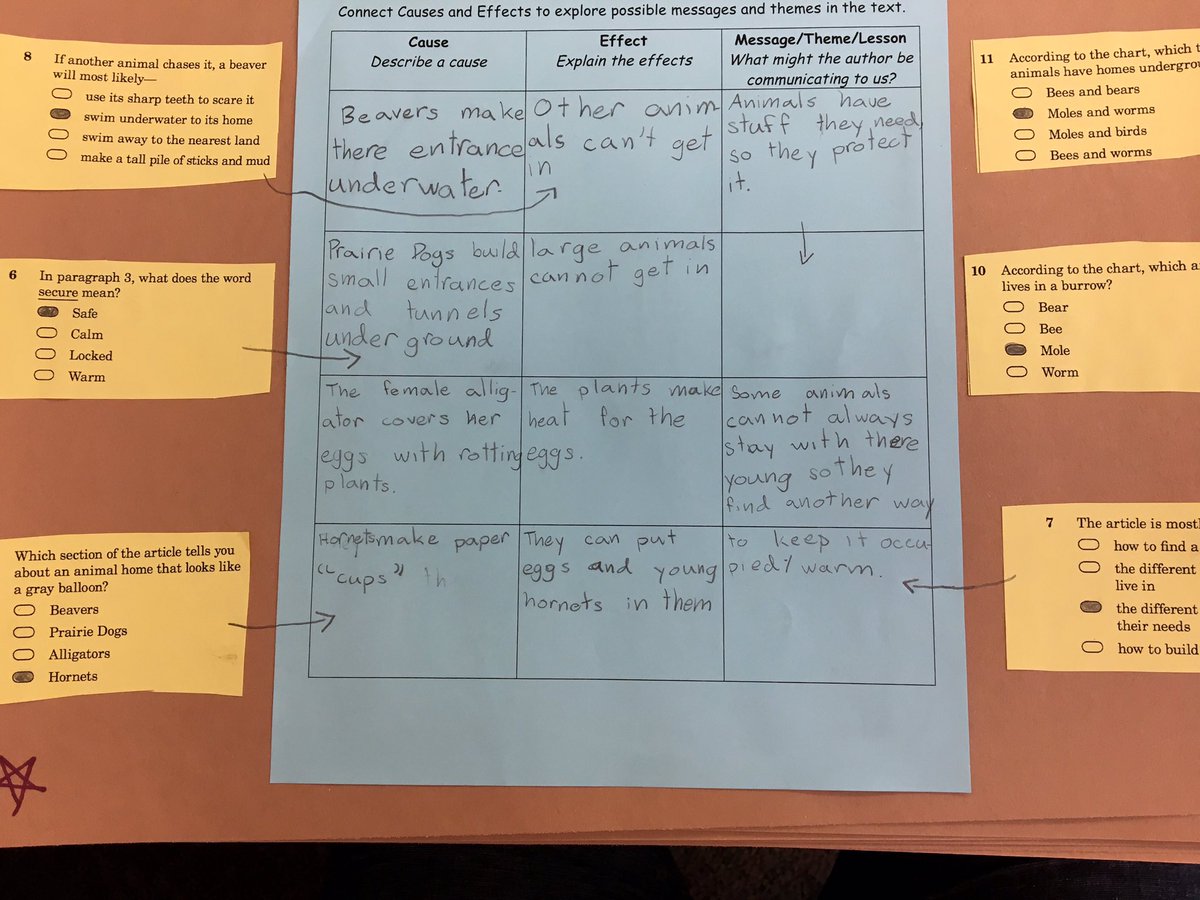 Cause Effect T Chart