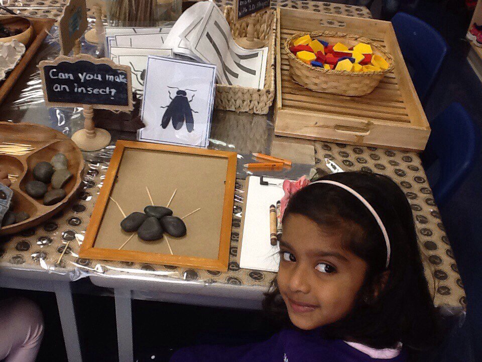kinderroom111's tweet photo. The Super K's are busy exploring and investigating insects at our class provocation areas @ClairevillePeel https://t.co/H4HoDrjLg1