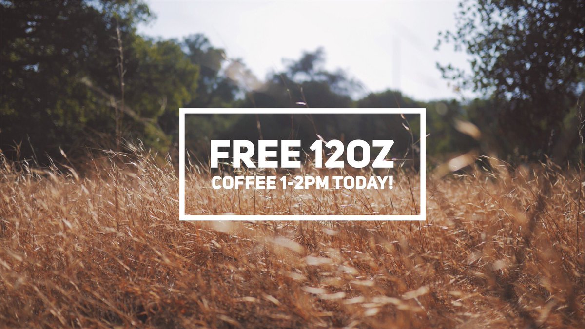 National Coffee Day is everyday, BUT the google holiday wins today! #🍂or❄️? #confused