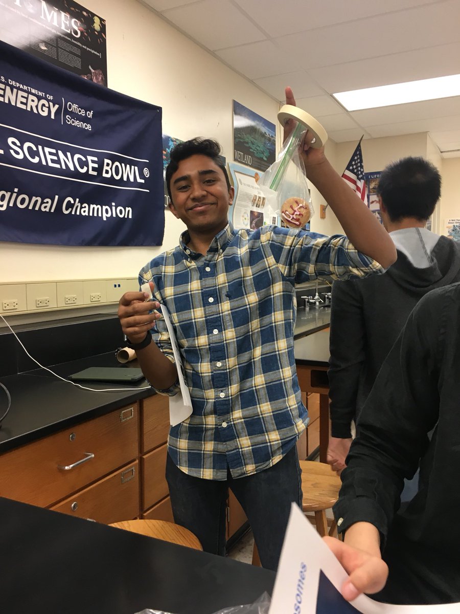 Golgi Apparatus tweet media