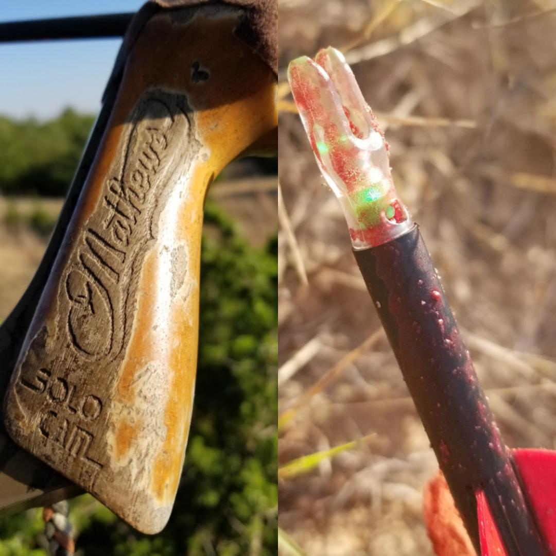 Opening day success with a 43yd shot in Oklahoma with a borrowed 20yr old Z-Max #tattered #worn #stillshootslikeadream