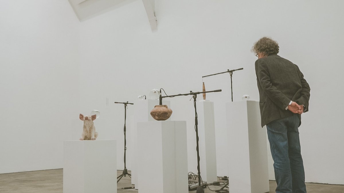 "Birmingham is feeling more vital, artistically than it has in a long, long time" says Jonathan Watkins, <a href="/ikongallery/">Ikon</a>. Help your community.