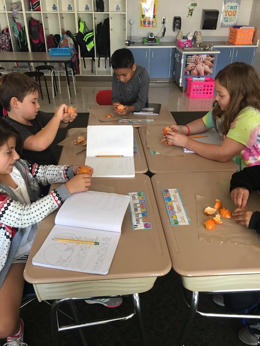 mrswombacher's tweet photo. Comparing and Contrasting our skin to an orange. #scienceissofun #weareyatesmill @YatesMillES @SWAWCPSS https://t.co/mqkYejgxfm
