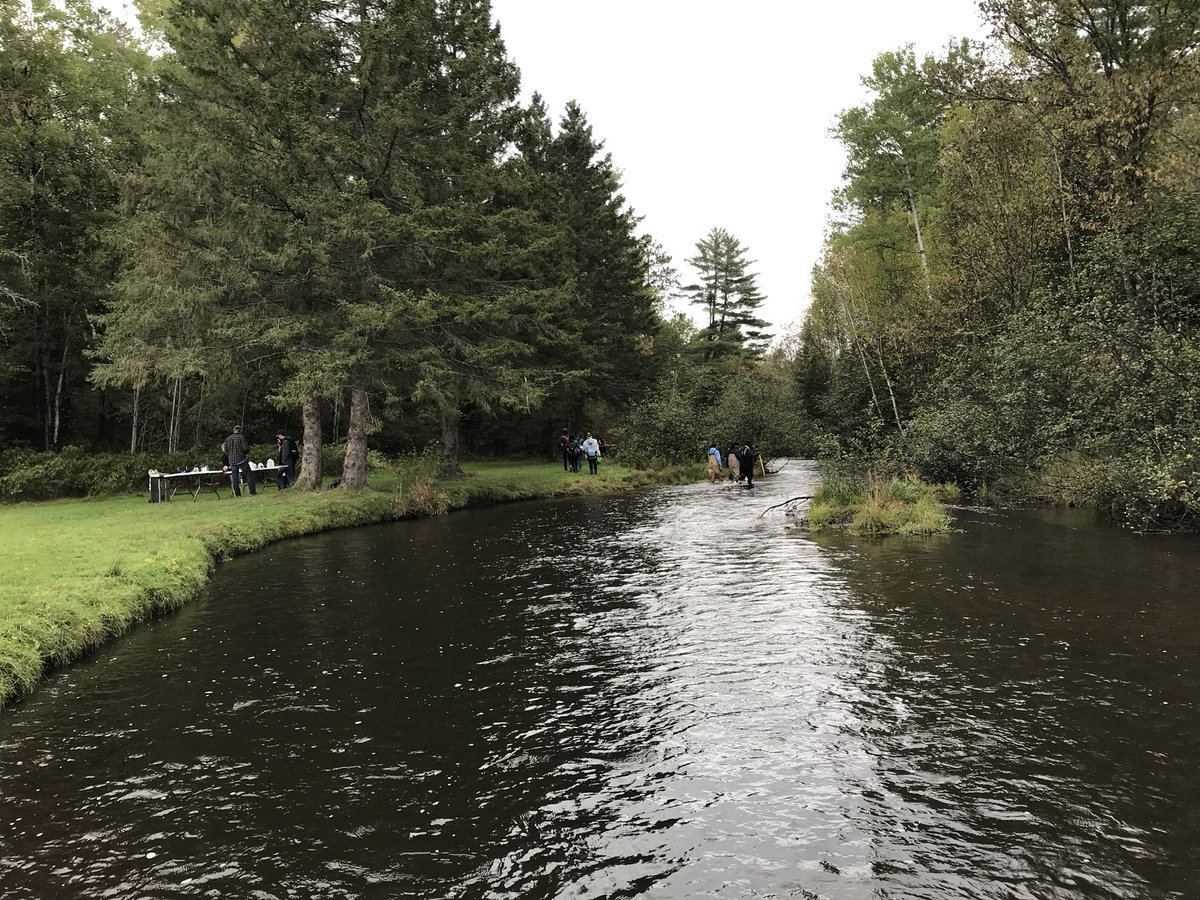 NeuquaValley's tweet photo. Love my classroom today! #nvapes @neuquavalley #futureready204 @PVsteen @McBrideCats97 @lancefuhrer https://t.co/8HNG9UP4WL