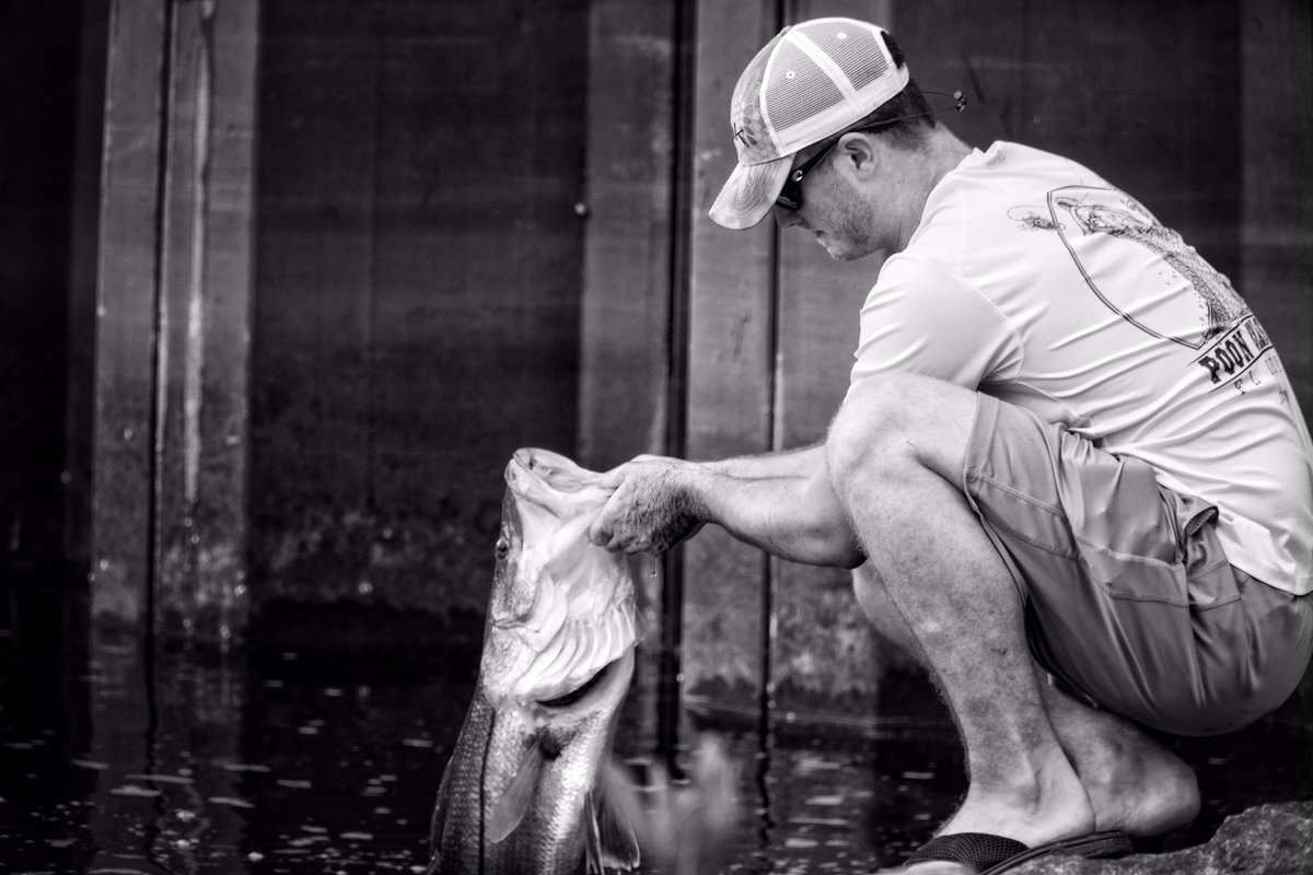 SteveDiossy's tweet photo. Moose Monday!! The Poon Chaser performance shirt catches more than just tarpon. This 39” Monster proves that!

#ofishulz #snook #mulletrun https://t.co/aaUlHYrxcw