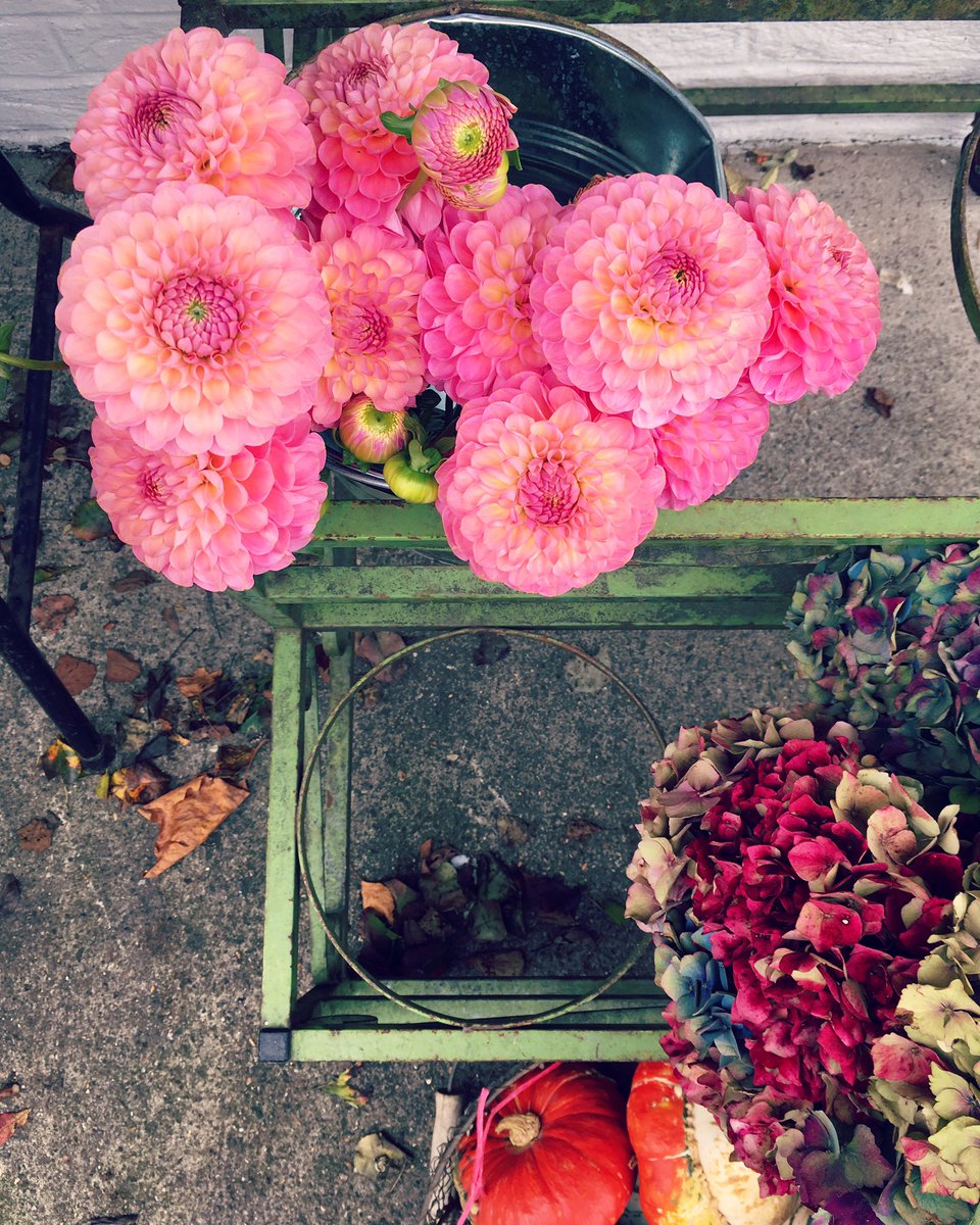 Sarah Angold Studio tweet media