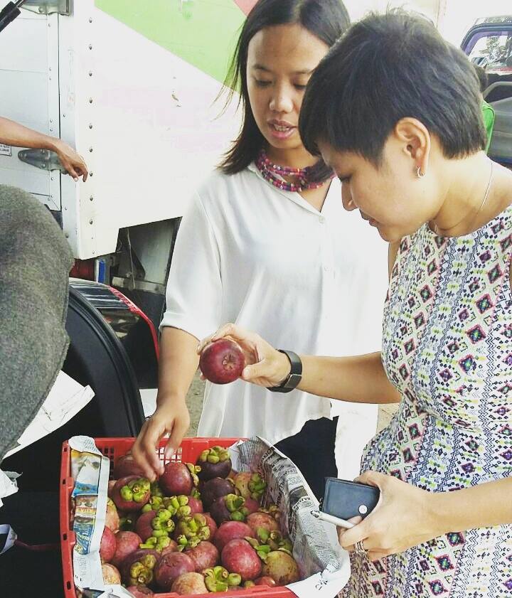 JavaFresh_Fruit's tweet image. 🌴Did you miss one of our fresh and tasty newsletters ? 😬
🧐You can find all of them right here:  bit.ly/2xSCtZZ #exoticfruit #supplier