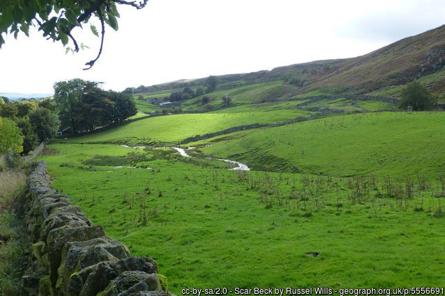 geograph_bi's tweet photo. Scar Beck
Collecting water running off #Holwick Scars, before joining the River Tees.
County #Durham
https://t.co/2EGdkhZiHg Β© Russel Wills https://t.co/KfmcoeLYMb