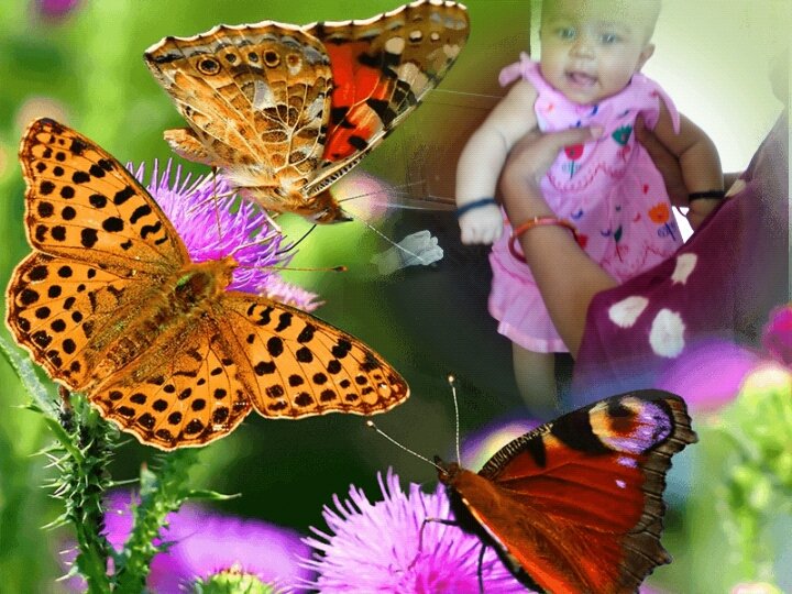 sachan_pratima's tweet photo. My beby https://t.co/XETIRwuKUP