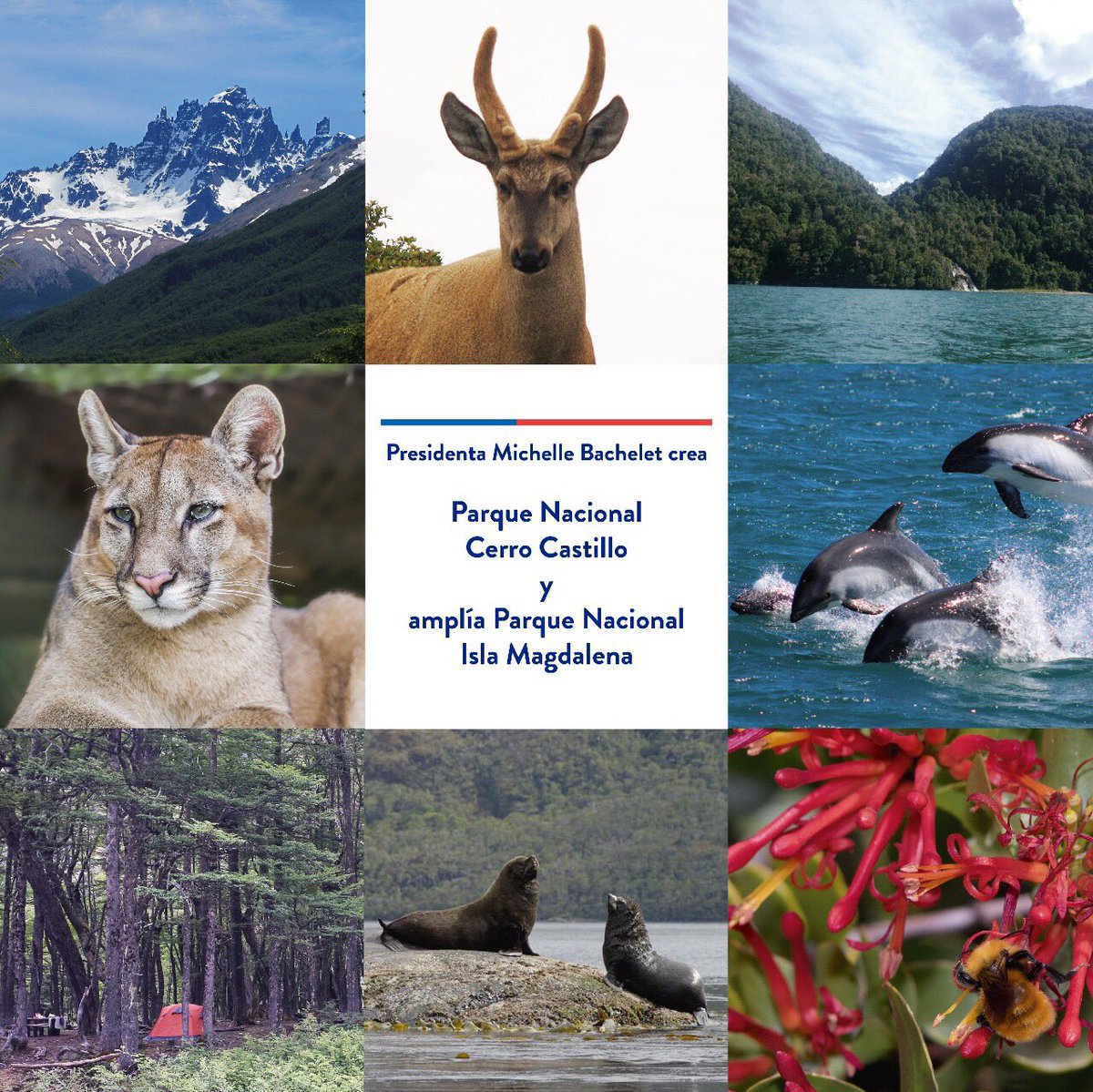 La red de parques de la Patagonia es un legado inédito en conservación. Hoy avanzamos con nuevo Parque Cerro Castillo junto a @MinistraPalma