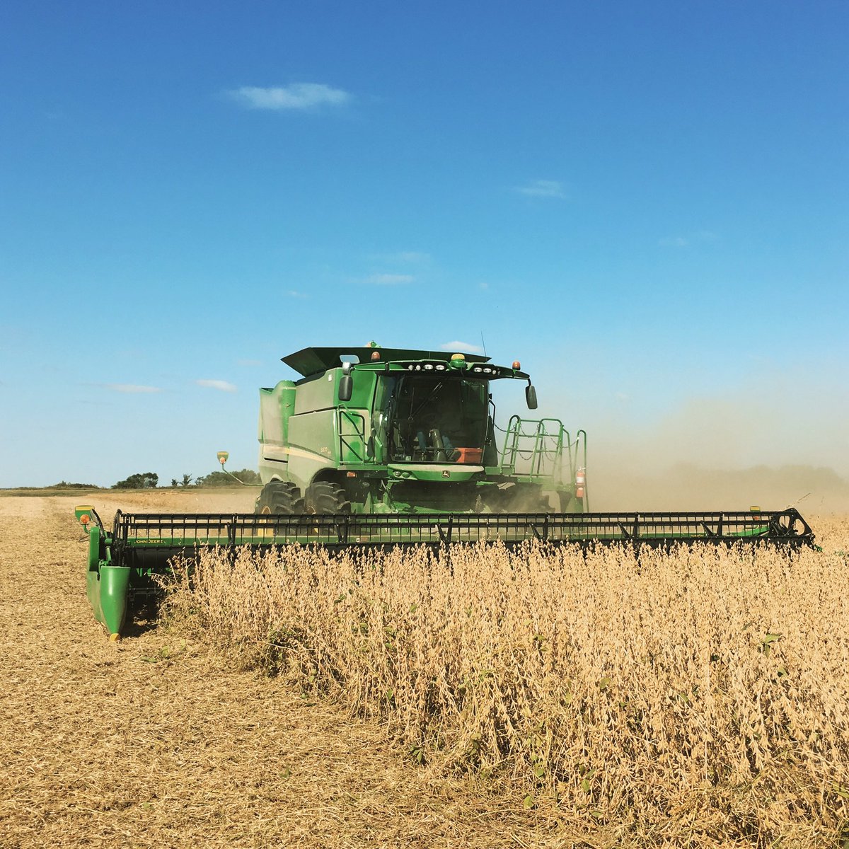 mitchsthomas's tweet photo. Getting #Soybean #harvest17 kicked off on #ThomasFarms this morning. #RollingWithTheFlow https://t.co/GYklczmDtY