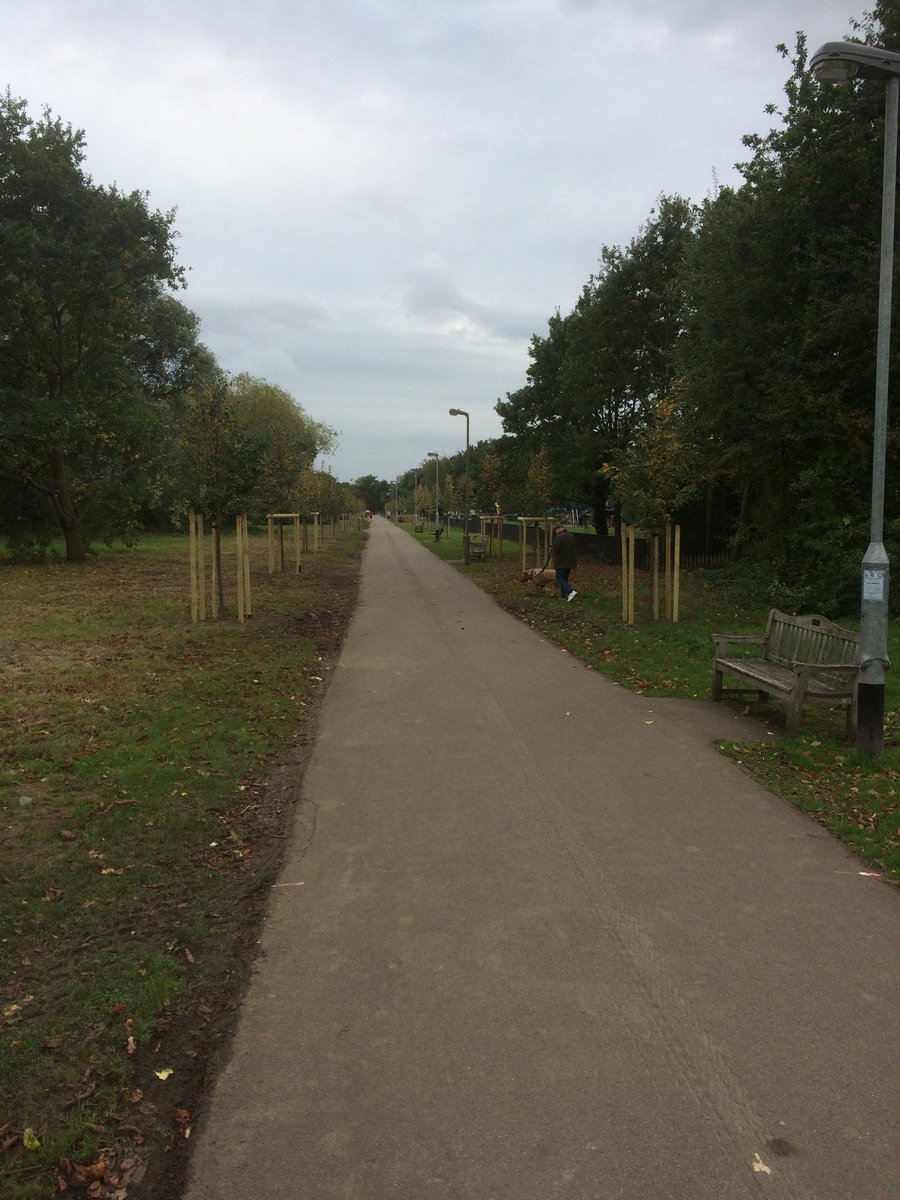 scottjainslie's tweet photo. this was NOT totally necessary @wandbc beautiful established trees replaced with unnatural, regimented young ones.yuk https://t.co/q3fIZ0H4QH