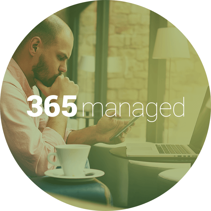 365squared tweet media