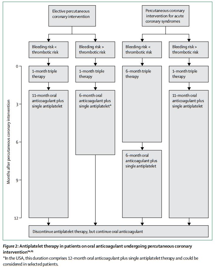 Cardiodata tweet media