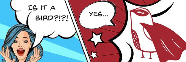 GFN Chester tweet media