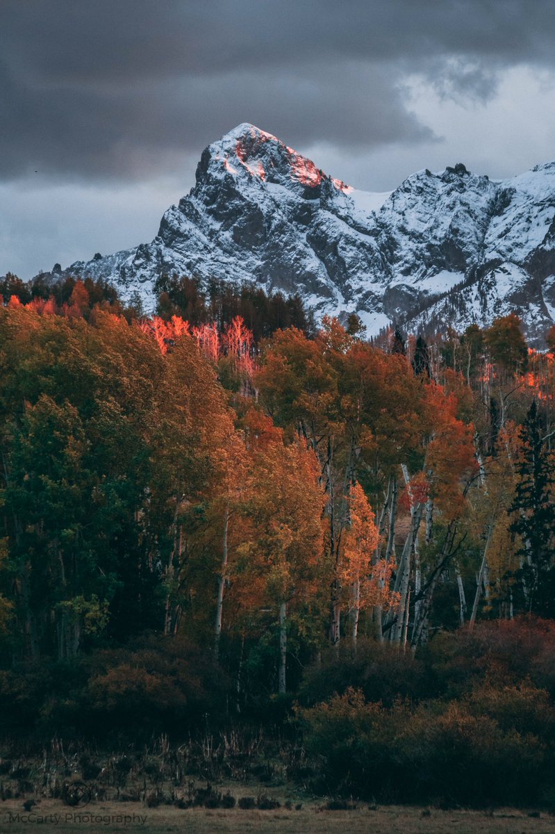 _mccartyphoto's tweet photo. The Colorado golden hour is what I imagine heaven looks like https://t.co/8DRuL3xGA5