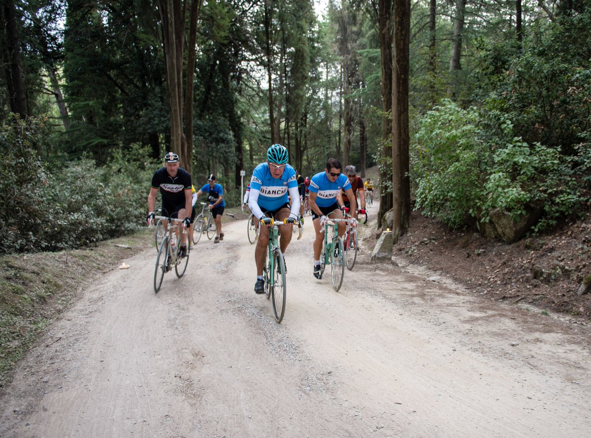 Eroica forest