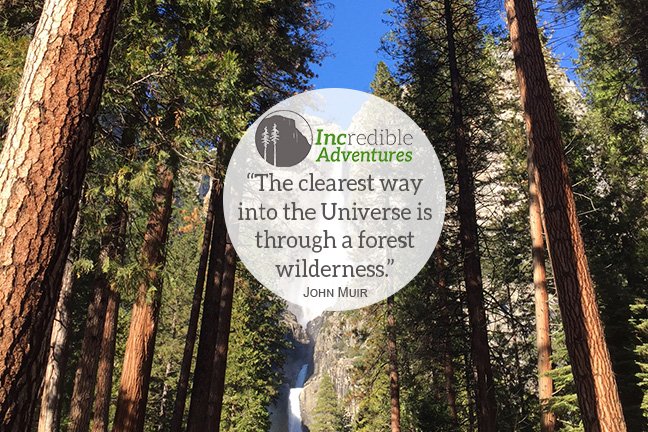 🌲 #worldhabitatday