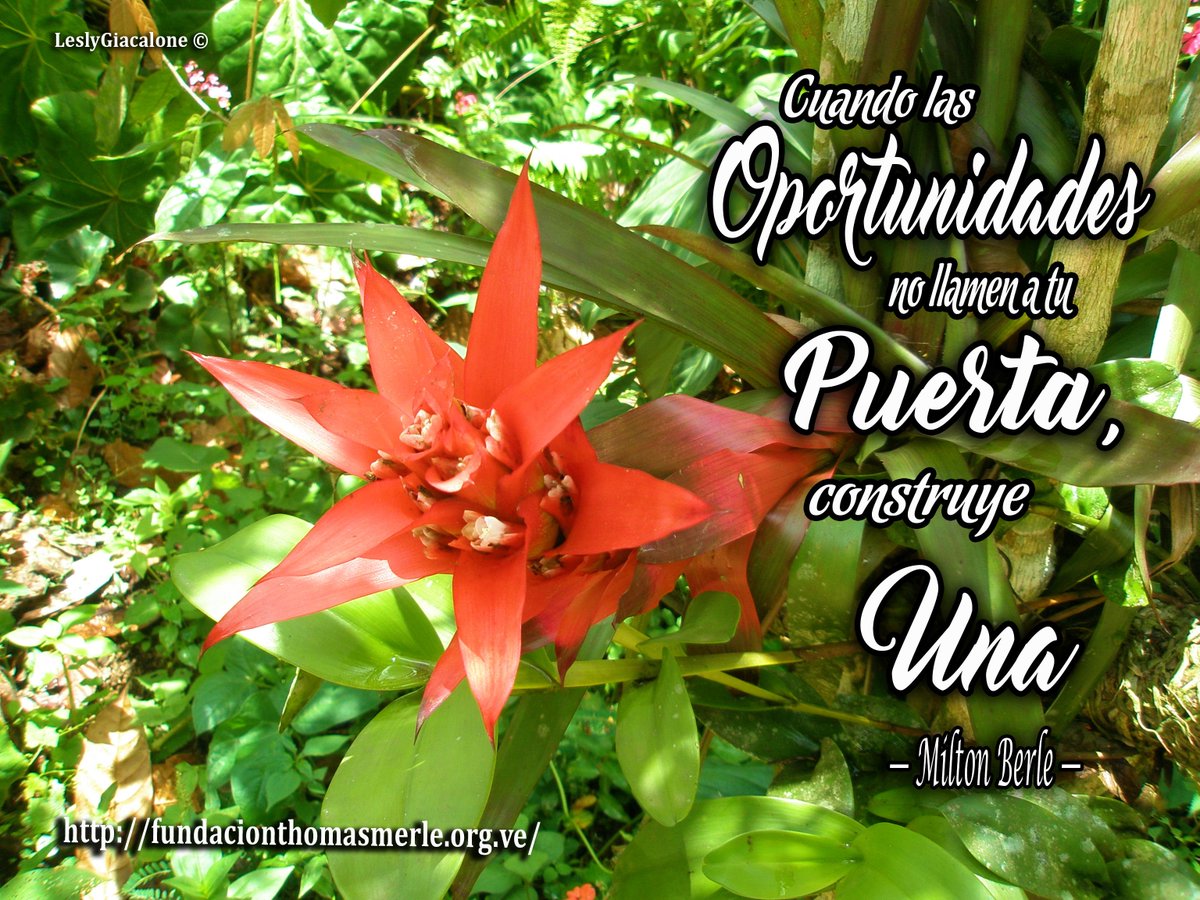 #educacionambiental, #ambiente, #fundacionthomasmerle, #frases #frasesbonitas