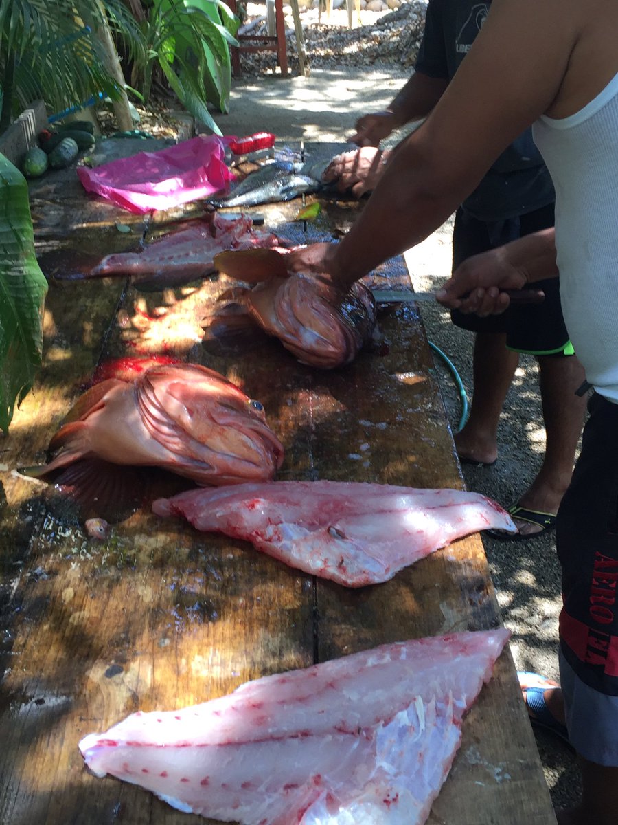 dylansouthworth's tweet photo. Disfrutando de Buena Pesca en Casa🎣💪Enjoying Good Deep Sea Fishing at Home🐟🇲🇽 #sayulita #mexico #fishing #lostenterprises #bacalao https://t.co/Apr6Mzur5S