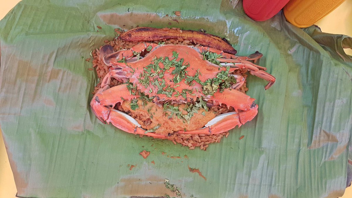 GADMTosagua's tweet photo. III Festival Gastronómico #OllaDeBarro fue un éxito, evento organizado por el @GADMTosagua y @GADManabi. Detalles >> https://t.co/hZmPbUGooT https://t.co/OJUhLT5nJ8
