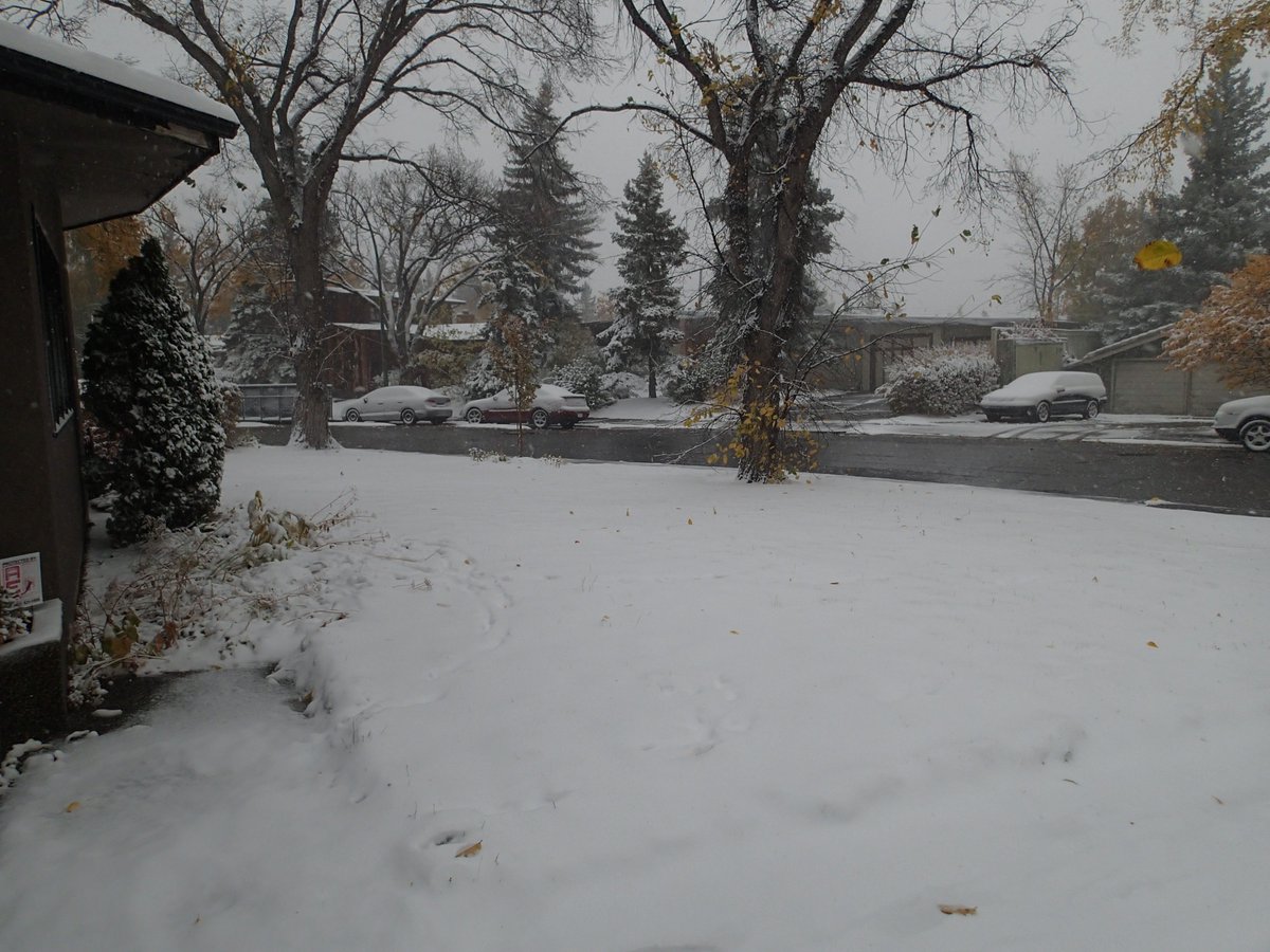 ChrisYYC's tweet photo. If you did not wake up to this your Monday is a hell of a lot better than mine!!! #SNOWSUX https://t.co/B2XGA0GrUI