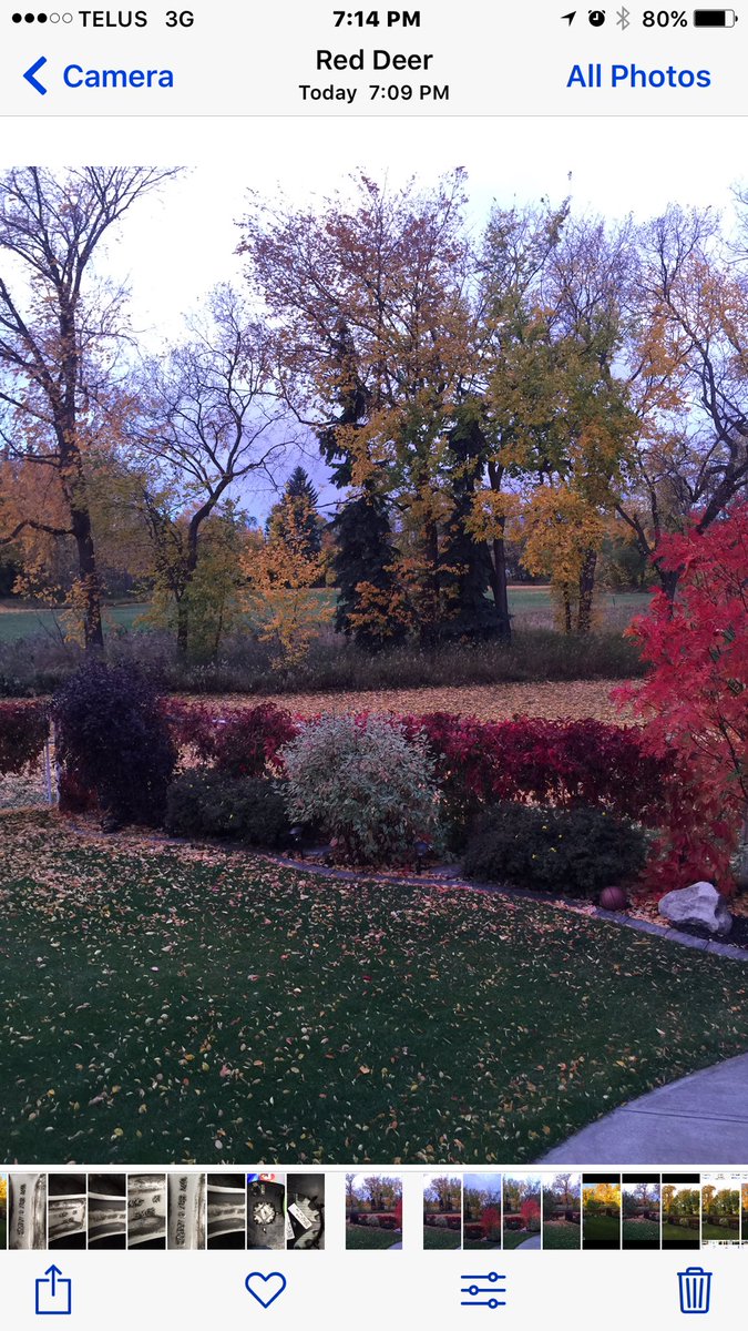 GoodmenRedDeer's tweet photo. Hey! Where's  summer going?#lastfivedays https://t.co/cTA71jjdKM