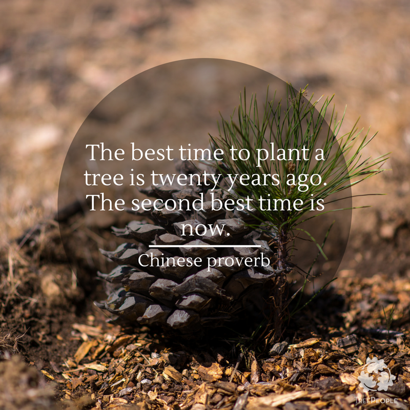 TreePeople_org's tweet photo. Celebrate planting season this week #MondayMotivation https://t.co/6o0RAp1Hqq