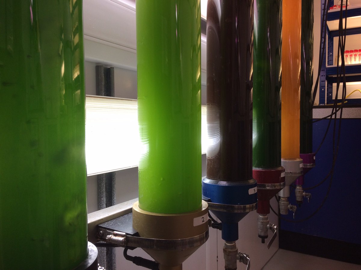 Mike_J_Allen's tweet photo. Good day in london for Q4 #NABAMA meeting @innovateuk @NewtonFund @Conacyt_MX. Plenty of progress w. @ProteinTechnol &amp; #AlgaeCytes 🇬🇧 🇲🇽 https://t.co/6EaESHScI8