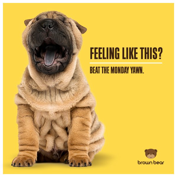 CCHSPostGrad's tweet image. #MondayMotivation Beat the Monday Yawn! Seniors! Guess what? November 1st application deadlines are due in Post Grad October 9th. #dontdelay