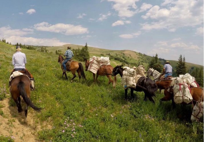AmericaHunt2016's tweet photo. Centennial Outfitters offers year round hunting of various animals.  Hunters are also able to book in advance. https://t.co/I8G5SNMfnL https://t.co/6Hh4FaJcio