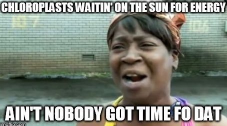 Got_Structure's tweet photo. We don't have time to wait around for a strong leader...good thing the cytoskeleton is ready to take on the task! #organelleelection2017 https://t.co/fsBwLmfIKr