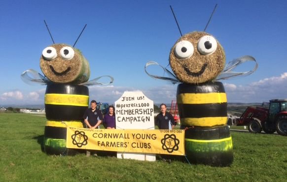 FarmersWeekly's tweet photo. Awesome bale sculptures made by @CornwallYFC members in a bid to boost their membership to 1,000 people. Excellent work guys 👍 https://t.co/8lmBE64ZAP