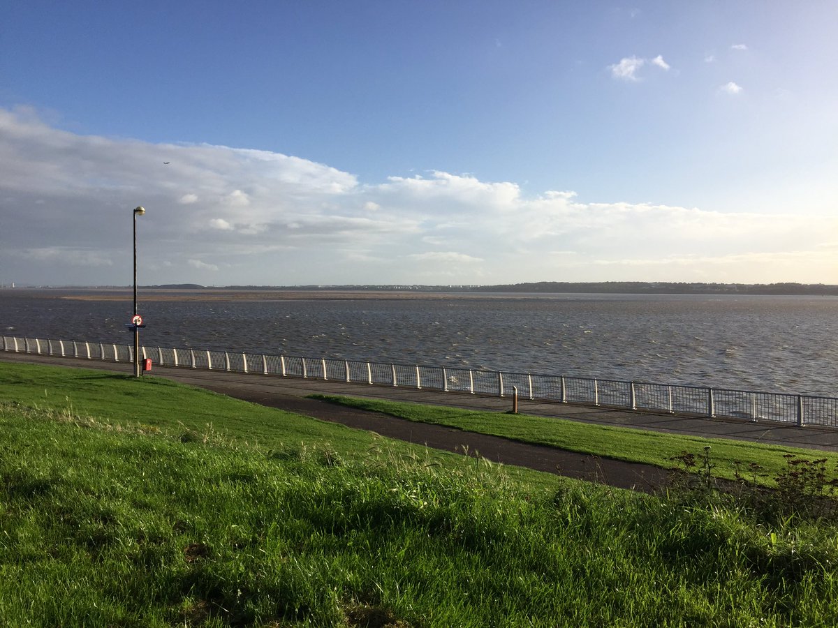 daveliverbirder's tweet photo. Quick dart into Otterspool on way home. 6 Meds on grass. 1 YLG, 12 GC Grebe and Guille on the Mersey. Tide a little too low #merseybirding https://t.co/KbWgyF0g3C