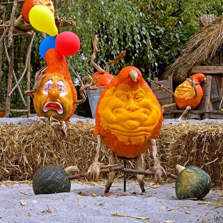 GiantPumpkinsIE's tweet photo. A family event not to be missed!!!
#GiantPumpkins the size of a 🚗Oct 8th @IMWM_ie @DiscoverBoyneV @SpiritsofMeath
🎃#OctoberStartsNow!!🎃 https://t.co/grLz344aFC