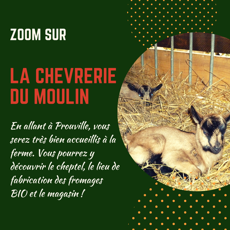 IllicoCuistot's tweet photo. Découvrez à la Chèvrerie du moulin, fromages &amp; yaourts de chèvre BIO et le lieu de vie de ces petits animaux à cornes ;)
#Bioetbon #création https://t.co/tEDtohtzB7