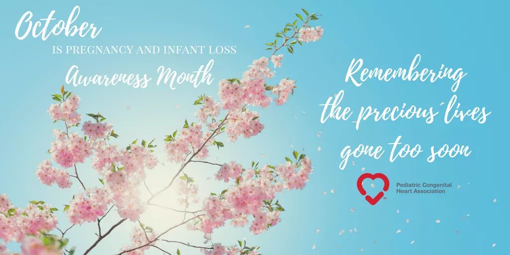 conqueringchd's tweet photo. October is  #PregnancyAndInfantLossAwarenessMonth &amp; we want to honor all of the precious lives gone far too soon. Our hearts are with you ❤ https://t.co/QJNVjjX4U6