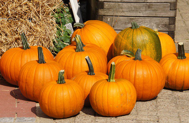 ACEngineers's tweet photo. October is here! Who’s ready for a new month? https://t.co/49nalFW1qA