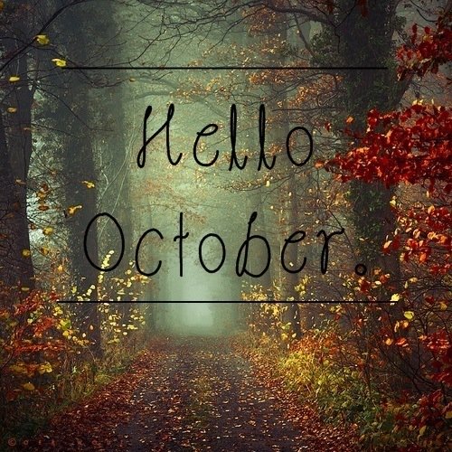 beaudryflowers's tweet photo. Welcome October! https://t.co/ETI3915GF0