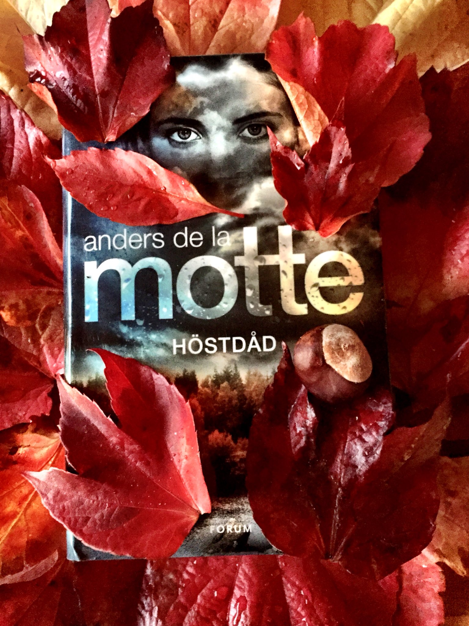 Anders de la Motte (AndersdelaMotte) / Twitter