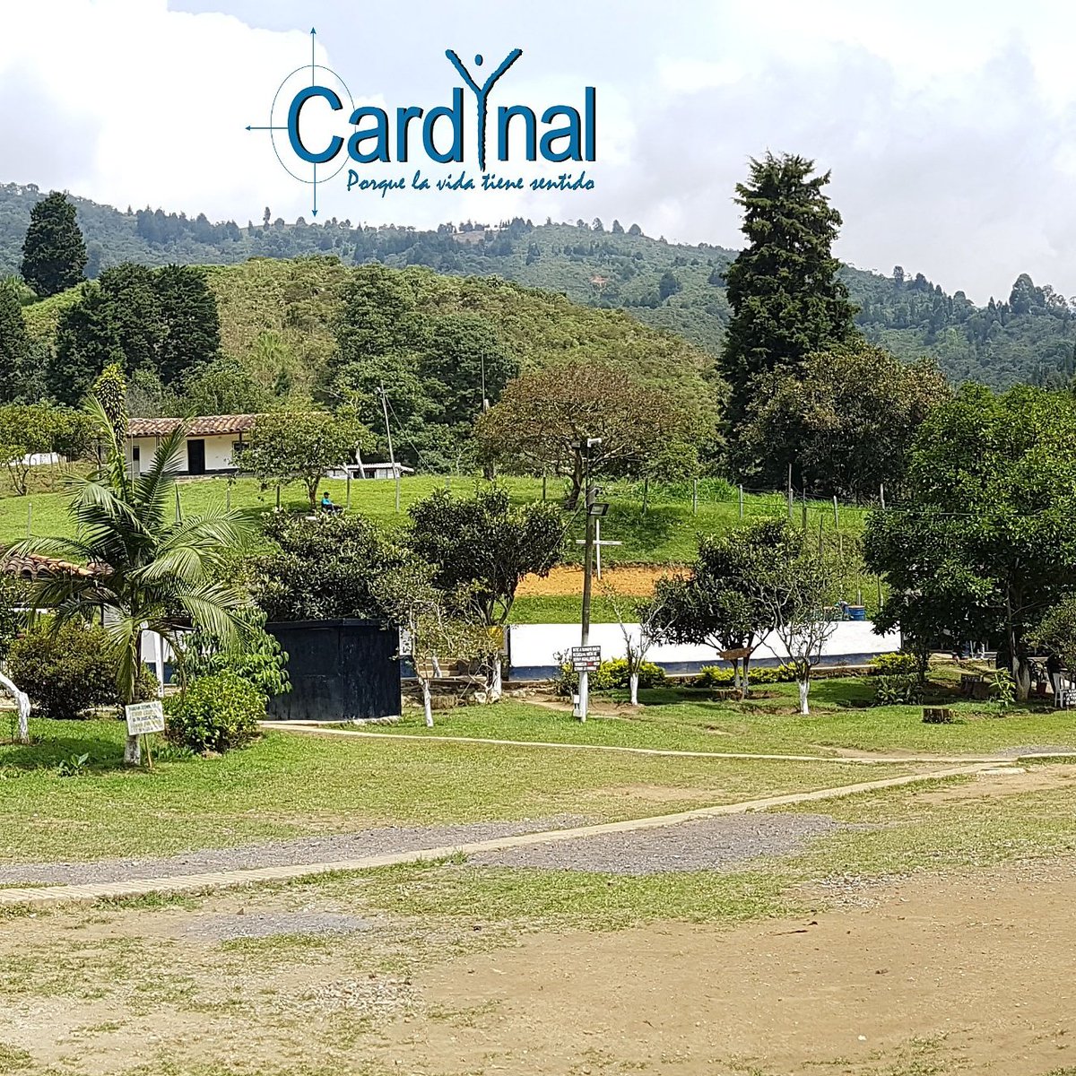 cardynal_org_co's tweet photo. La procrastinación es la acción o el hábito de postergar.
#porquelavidatienesentido
#cardynal
#patologíadual
#asesoriaenadicciones https://t.co/nDLxsid38c
