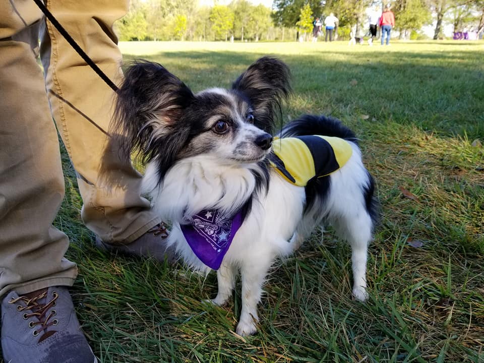 Thank you to all of our sponsors that made this #BarkForLife event so special! We couldn't have done it without you. 
#americancancersociety