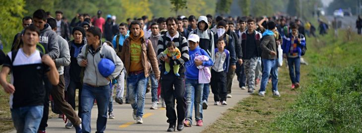 AmmarYouzbashi's tweet photo. "Delays, Limits, and Inequities in Canadian Refugee Sponsorship" report by @publicjustice  Half Welcome https://t.co/Ej78D6qRQH https://t.co/3FKz2SHH0g