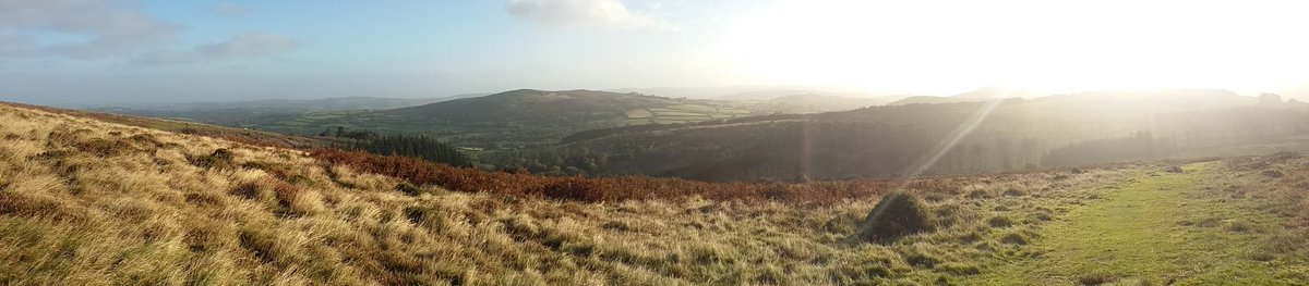 betty_watson's tweet photo. Today's morning stroll. Dartmoor https://t.co/Uu3f4v73Gb