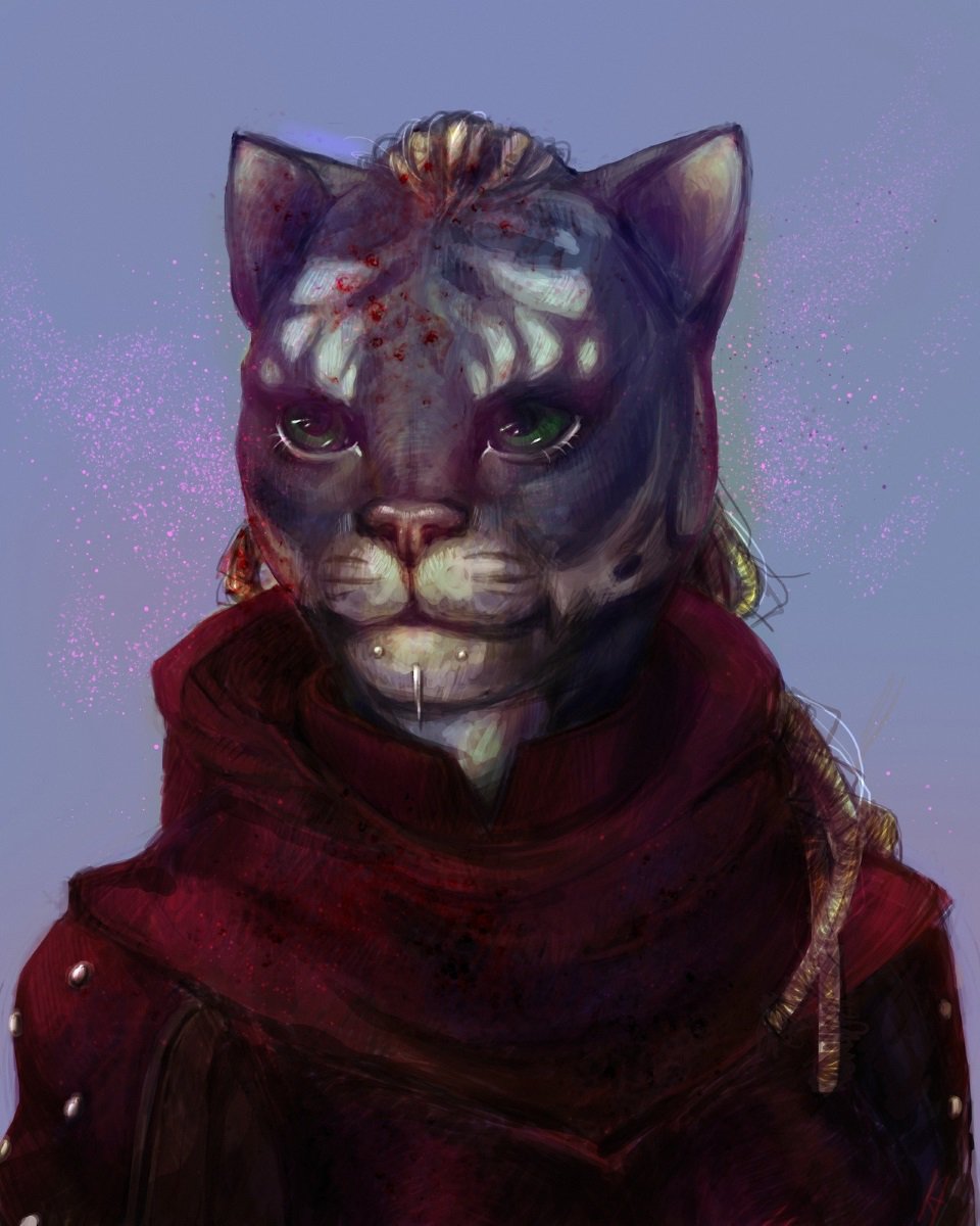 Nakanoart каджит