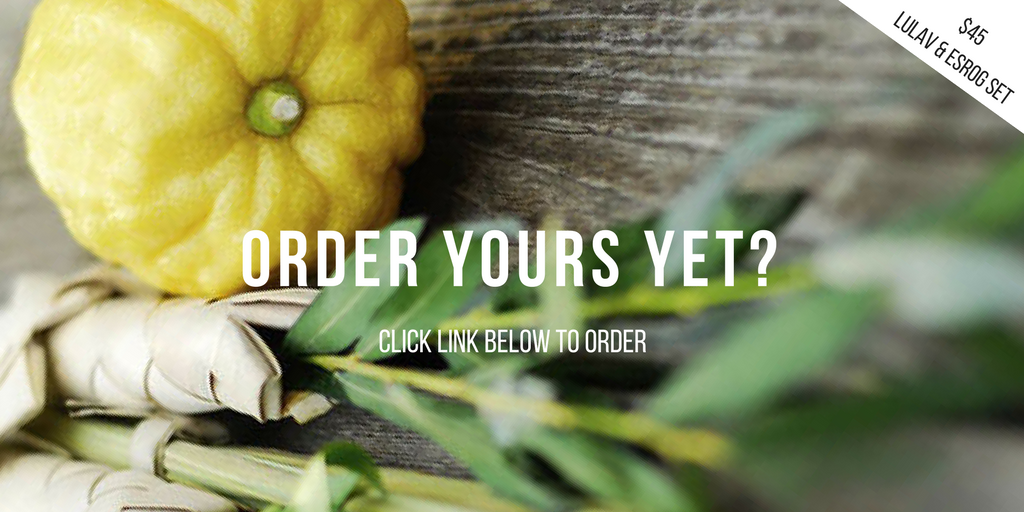 JewishGrove's tweet photo. #Sukkot is on its way! If you have not ordered your #Lulav and #Esrog set yet, its never too late. Order from @JewishGrove https://t.co/M4PsyGPHE5