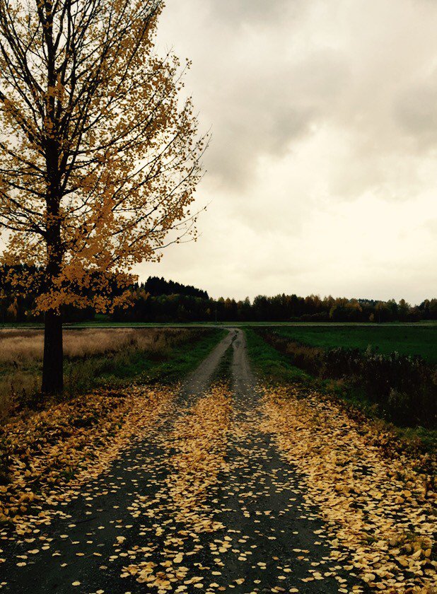 stalljeda's tweet photo. Nu har vi snart kört den här vägen för sista gången. #framåtillbaka #framåtillbaka #flyttlass https://t.co/iXxC0Y5qkZ