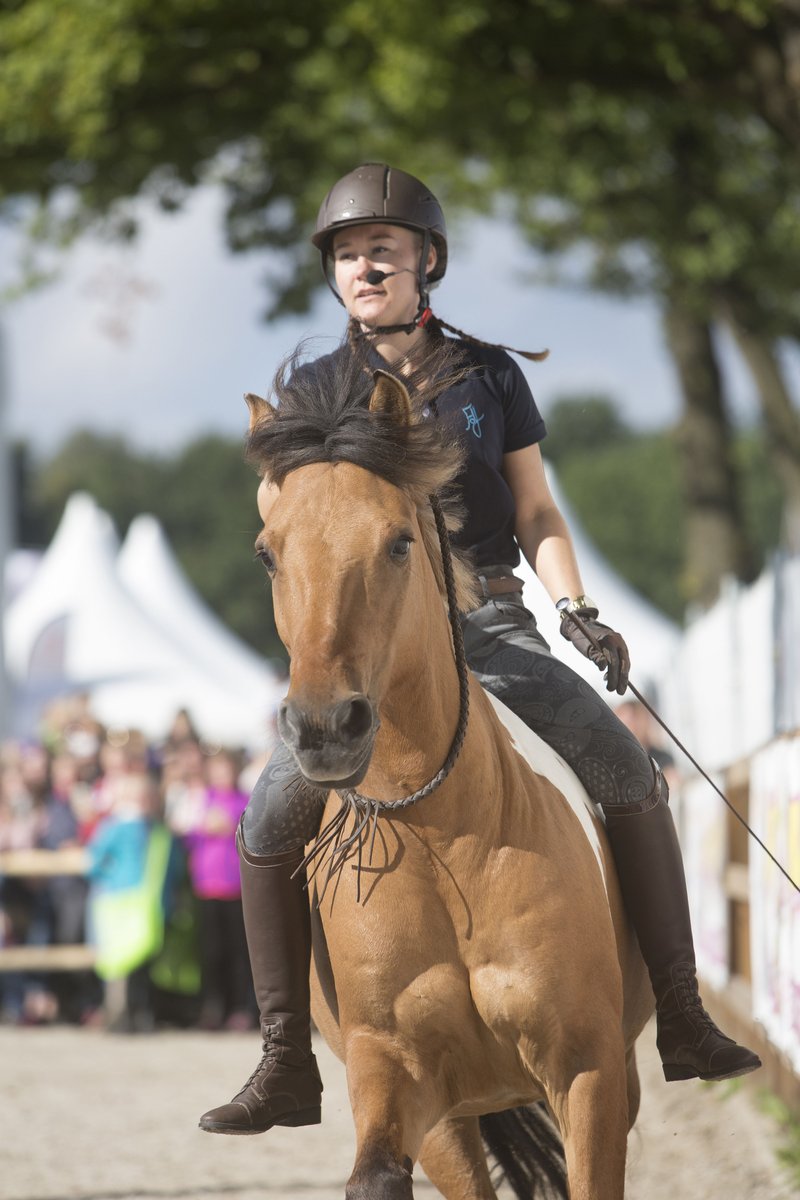 Fantastische demo’s van Feline de Jonge en pony Marley in de Penny Piste op Horse Event 2017. Bekijk nu haar vlog! bit.ly/2x9aBSz