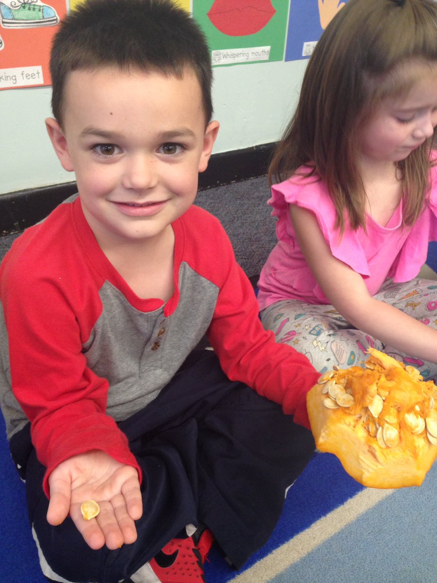 MrsCallahanDT's tweet photo. Using our senses to explore the outside and the inside of a pumpkin! #DT_Bobcats #Dtdaily https://t.co/q4Ul16aNK6