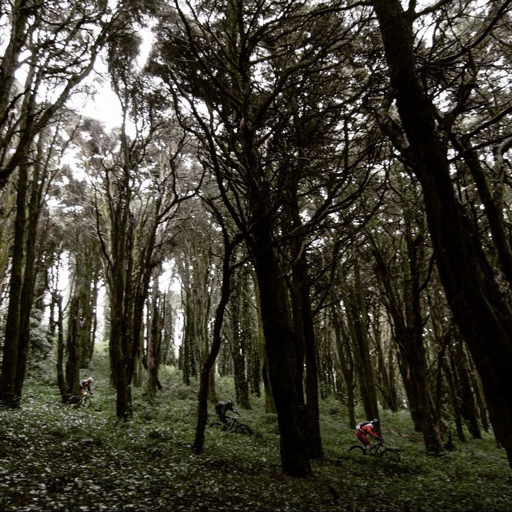 IONactionsports's tweet photo. ::: Season never ends! 📷 @fastfokus
#ionaction #ionbike #mtb #sintra #portugal #outerwear #jungle #homeiswhereyou… https://t.co/XoGycqJSyh https://t.co/jSVAr0cmFj